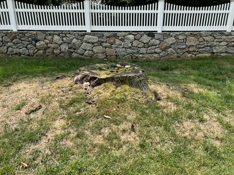 Review photo 1 from Bob