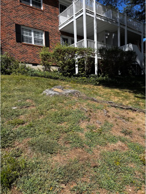 Review photo 2 from Moss