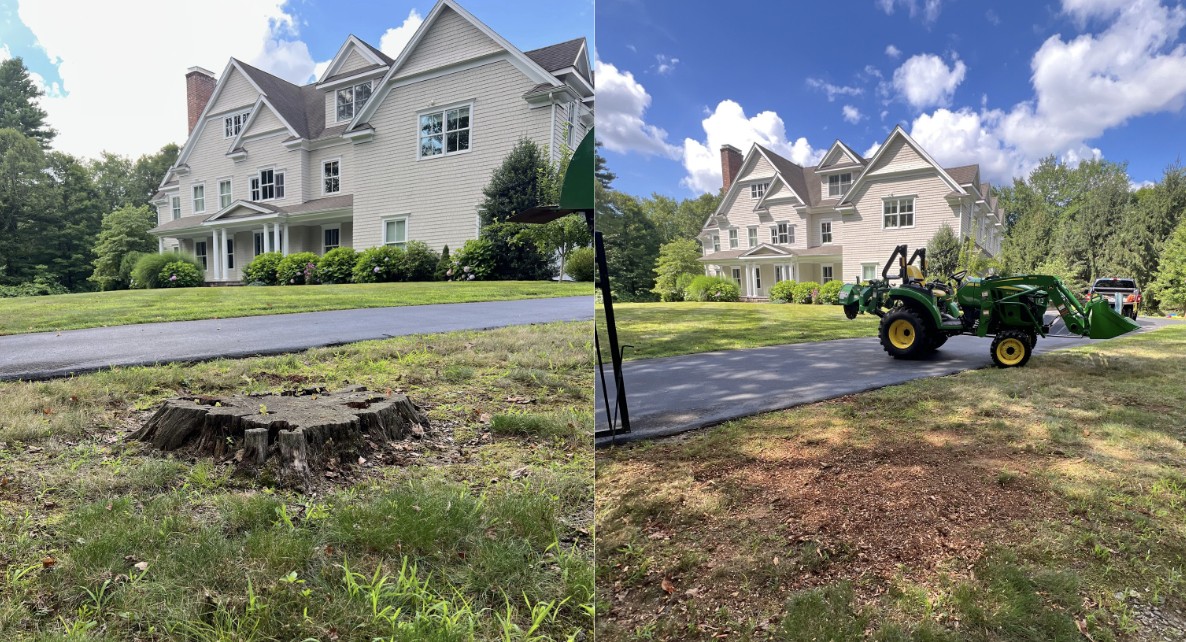 Review photo 2 from Nathan